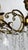 French Brass Crystal Eight-Light Chandelier, 1950s For Sale - Image 6 of 12