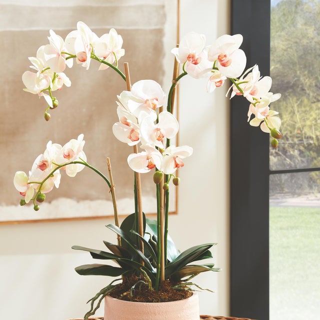 Kenneth Ludwig Chicago Phalaenopsis Orchid Drop-In 30" For Sale - Image 4 of 5
