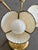 Shell 1990s Post Modern Shell & Brass Lamp For Sale - Image 7 of 12