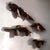 1970s Organic Rustic 1960s Live-Edge Redwood Wall Shelves For Sale - Image 5 of 18