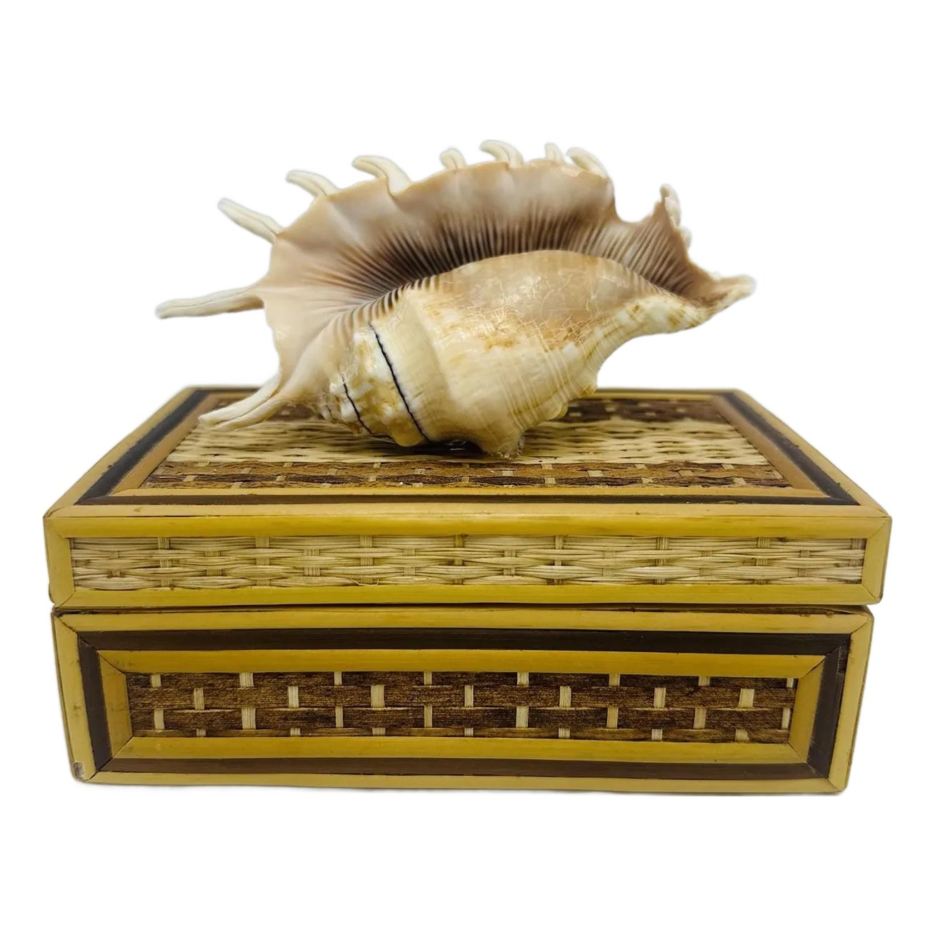 Vintage Wicker Shell Art Box | Chairish