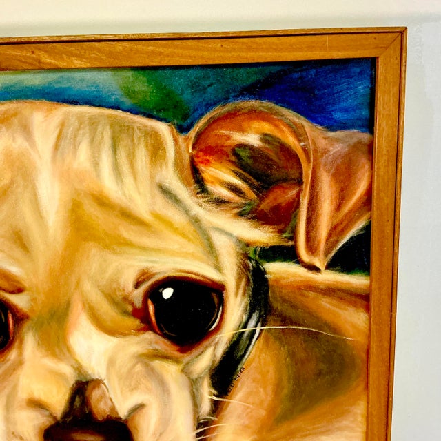 1989 Vintage Large Scale Contemporary Dog Portrait Original Oil Painting, “Chester” Artist Signed For Sale - Image 6 of 13