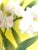 Fukugawa Seiji Arita Ware Yellow Vase With Phalaenopsis For Sale - Image 11 of 16