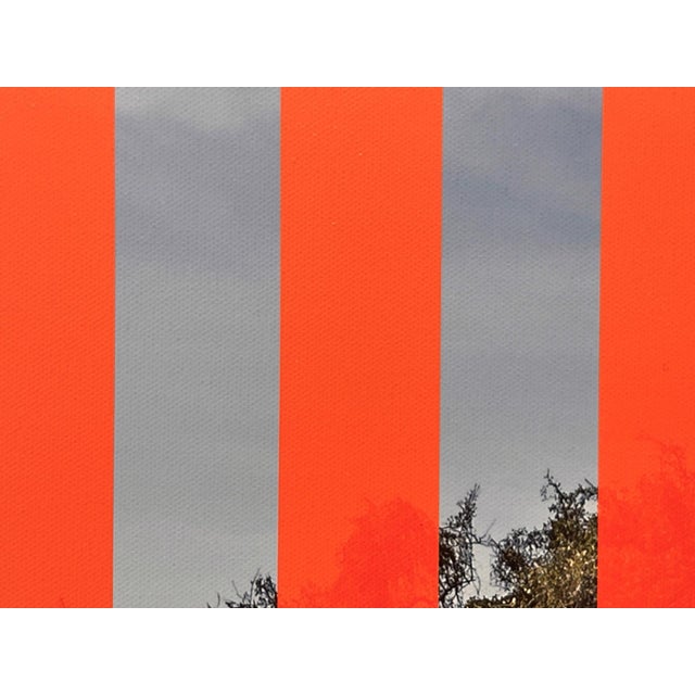 Fat Tuesday - 2 by Dan Kaufman | Archival Photo Print on Canvas of a tree by a lake with orange stripes For Sale - Image 4 of 5