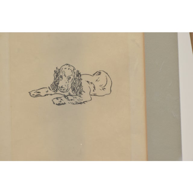 Modern Cocker Spaniel, Etching by Renee Sintenis, 1950s For Sale - Image 3 of 6