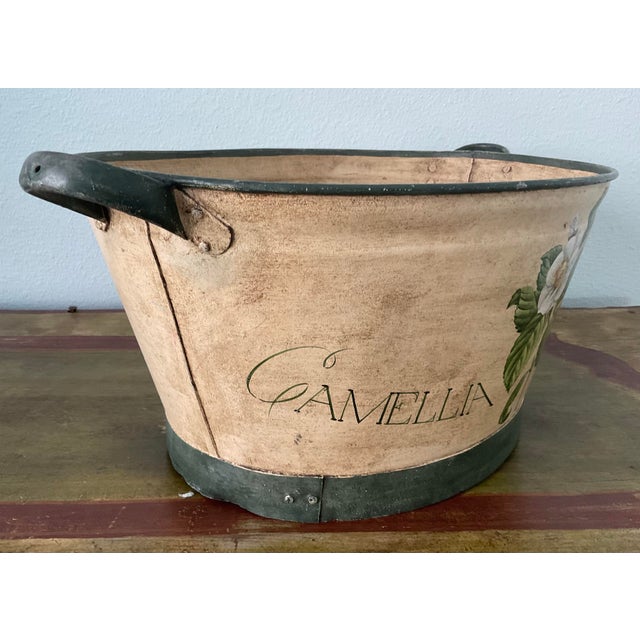 Charming vintage oval tole cachepot or jardinière featuring a beautifully hand-painted botanical camellia motif against a...