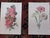 Authentic Antique 19th Century Edward Hulme Botanical "Garden Flowers" Lithographs - Set of 12 - Super Price! For Sale In Cincinnati - Image 6 of 9