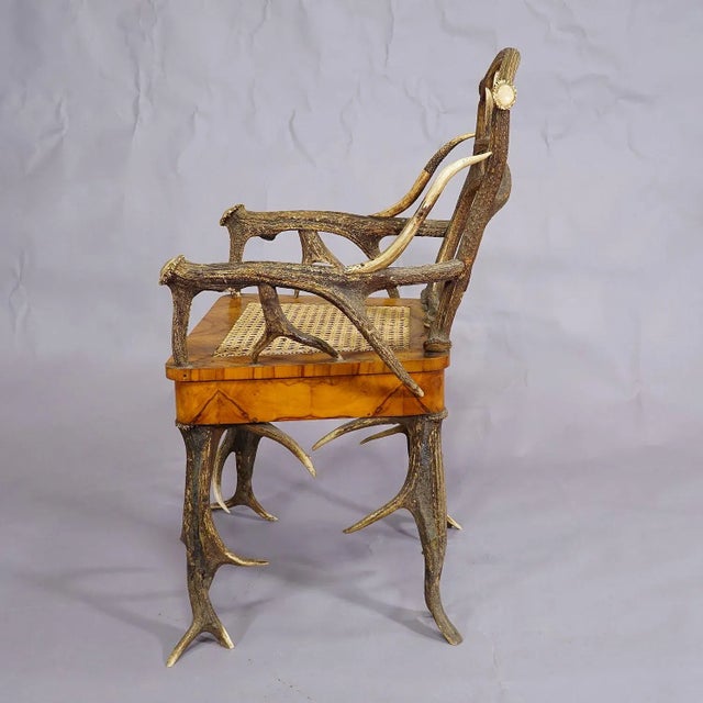 Mid 19th Century Black Forest Antler Arm Chair by J. A. K. Horn, Turingen 1840s For Sale - Image 5 of 10