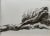 Contemporary Abstract Charcoal Drawing by Krista Everage on Rag Paper, With Wood Gilt Frame, Ready to Hang (Uv Plexiglass Face) For Sale - Image 4 of 7