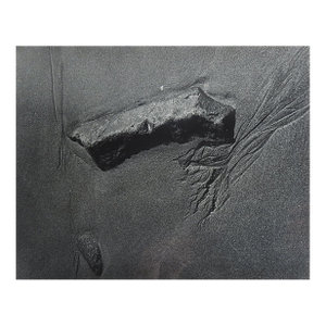 Late 20th Century Photograph Beach Abstract Shapes