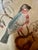 A magnificant late Georgian-era (circa 1790-1830) needlework picture depicting a beautifully detailed exotic bird or...