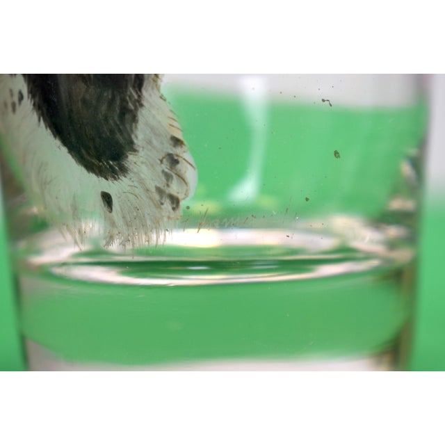 Pair X Spaniel Dog Head Old Fashioned Glasses Hand Painted by Frank Vosmansky For Sale - Image 4 of 4