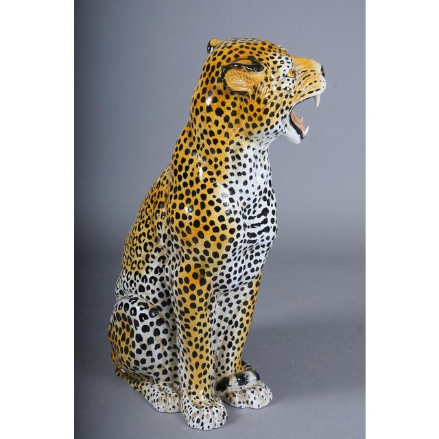 Leopard with Broken Foot For Sale - Image 15 of 18