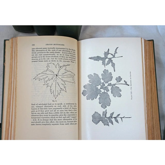 1900 - 1909 Works of Ruskin 12 Volume Set Cloth Covers With Gold Lettering, 1900s For Sale - Image 5 of 5