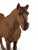 Vintage Hubley Cast Iron Derby Horse 1940’s For Sale - Image 9 of 9
