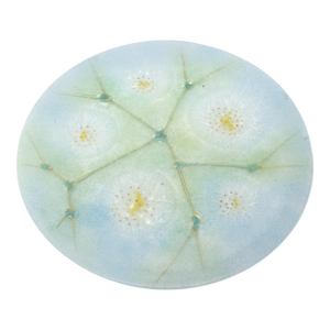 Vintage Signed Higgins Fused Glass Platter Amoeba Pattern 60's