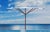 Modern Outdoor Large White Umbrella Tuuci For Sale - Image 4 of 11