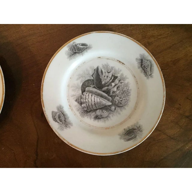 1810 - 1820 English Regency Worcester Flight Barr Bat Printed Sea Shell Plates - A Pair For Sale In New York - Image 6 of 10