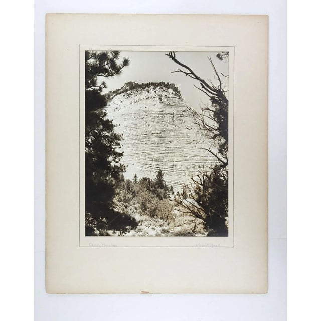 1950's Photograph Candy Mountain For Sale - Image 4 of 6