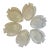 Vintage Arcoroc France “Poisson” Glass Fish Plates - A Set of 6 For Sale