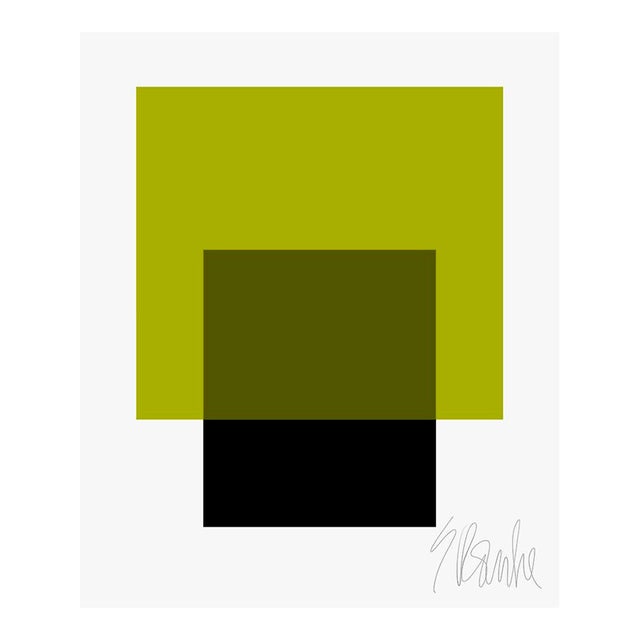 The Interaction of Black and Leaf Green Fine Art Print 30" X 40" by Liz Roache For Sale