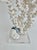 This exceedingly tall natural white Octopus coral specimen is a rare example of this variety of coral that features a...