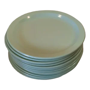 Texas Ware Mint Green Plates Set Melamine Melmac Texasware Set 12