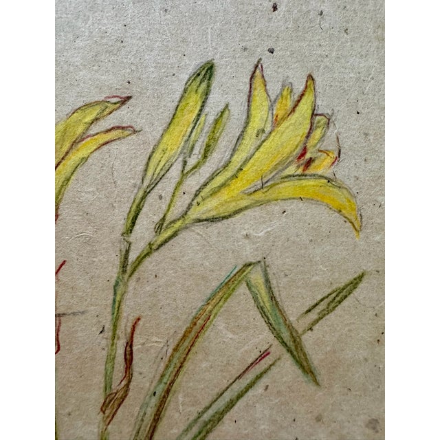 Rustic Henry Emil Salloch Original Watercolor on Paper Yellow Lilies, 1941. For Sale - Image 3 of 6
