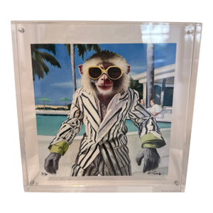 Human Monkey in Magnetic Frame Limited Edition