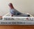 Authentic Tonalá ceramic bird sculpture from the region of Jalisco, Mexico. Hand-painted in tones of burnt orange, gray...