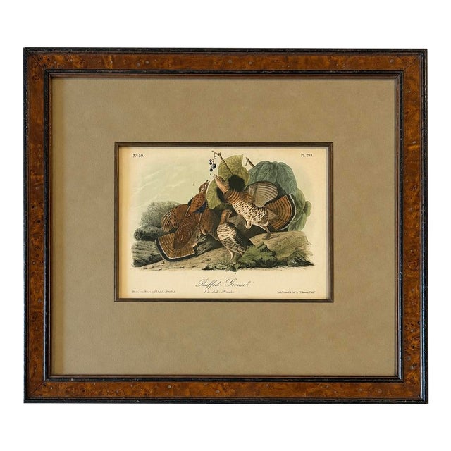 Mid 19th Century Ruffed Grouse Original Antique Bird Print by John James Audubon, Framed in Burl Wood For Sale