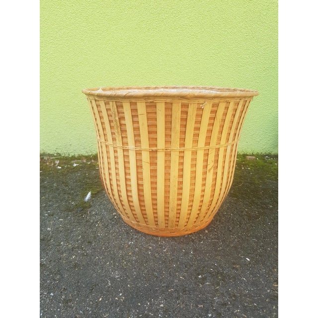 Vintage Wicker Cache Pot, 1970s, in Very Good conditions. Designed 1970 to 1979