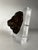 Antique Zinc Lion Sculpture on Lucite Mount For Sale - Image 4 of 7