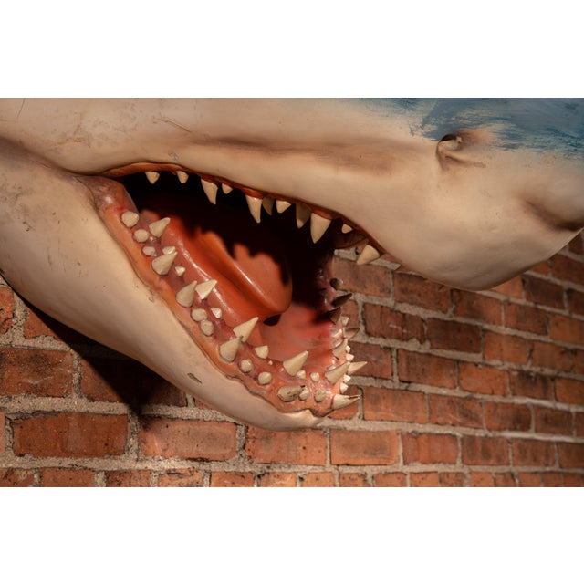 Oversized Hand-Painted Great White Shark Head Wall Mount For Sale In Chicago - Image 6 of 8