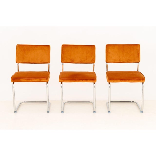 Set of Six Knoll Style Burnt Orange Velvet Upholstered Cantilevered Chairs, with chrome-plated tubular frames. 33.5" H x...