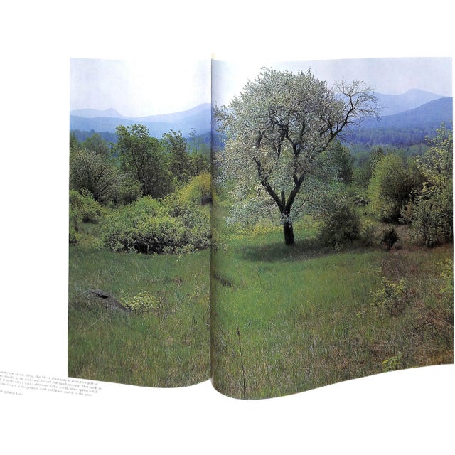 Paper "Forever Wild: The Adirondacks" 1966 Porter, Eliot For Sale - Image 7 of 12