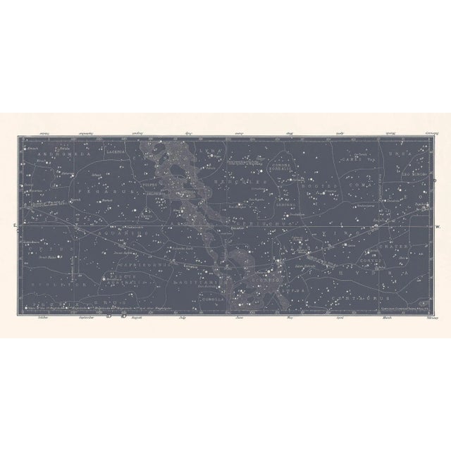 Reproduction Star Constellation Map in Slate Gray - 30" X 60" Unframed For Sale