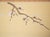 C. 1970s Showa Era Japanese Painted Silk Byobu Screen "Pheasants and Sakura" For Sale - Image 9 of 18