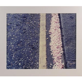 Cherry Blossoms Photograph For Sale