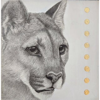 Cougar by Tammy Liu-Haller | Graphite on Clayboard, Gold Leaf, Acrylic Portrait of a cougar. For Sale