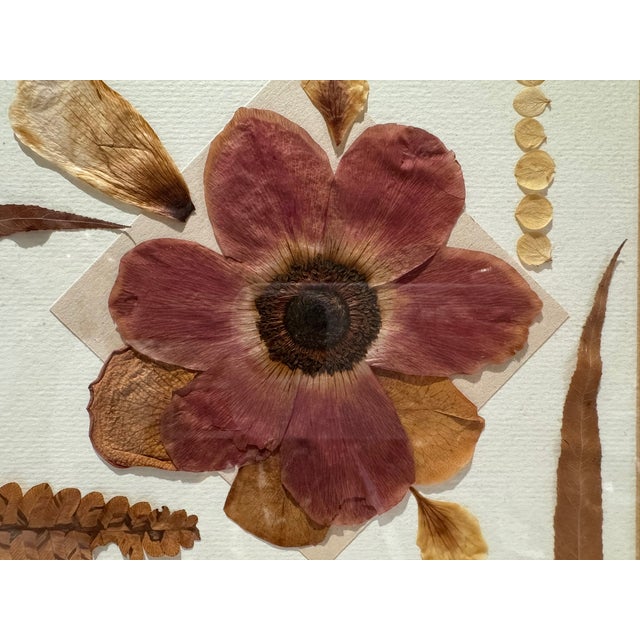 Ellen Schiffman 1995 Preserved Botanical Collage Original Framed For Sale - Image 4 of 9