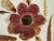 Ellen Schiffman 1995 Preserved Botanical Collage Original Framed For Sale - Image 4 of 9