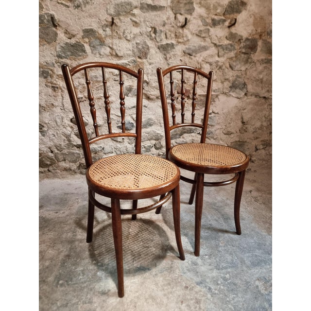 Brown Antique Vienna Bentwood Chairs by Jacob & Josef Kohn, Austria, 1930s, Set of 2 For Sale - Image 8 of 18