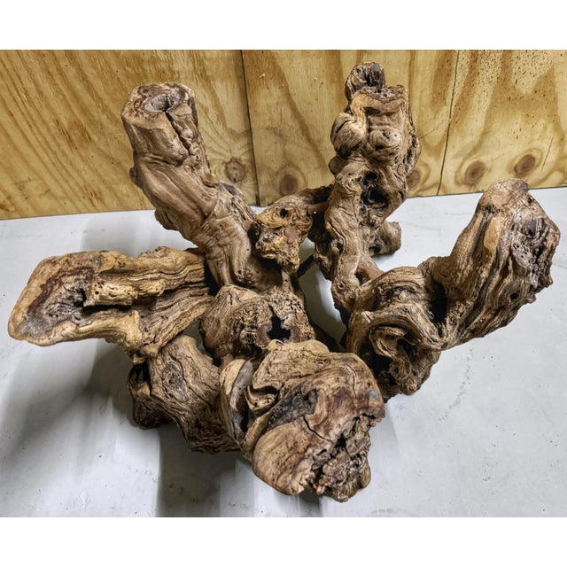 Mid Century Modern Organic Grape Vine Coffee Table For Sale - Image 9 of 10