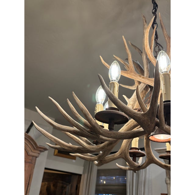 Rustic European Vintage Antler Chandelier For Sale - Image 3 of 9