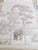 If you admire the timeless elegance of luxury scenic wallcoverings but seek a more accessible alternative, these hand-...