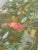 Vintage French Tropical Forest Jacquard Tapestry, 1950s For Sale - Image 17 of 18