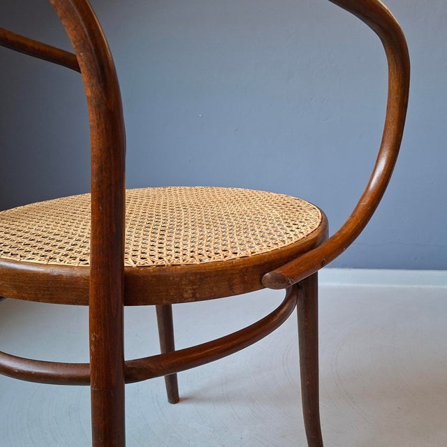 Wood No. 209 Armchair in Brown Bentwood and Rattan from Ligna, 1970s For Sale - Image 7 of 9
