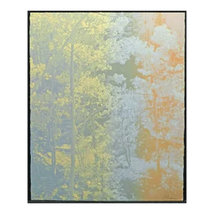 Paula Crane "Eos II" Signed Numbered Artwork Etching