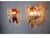 Murano Glass Sconces, Italy, 1960s, Set of 2 For Sale - Image 3 of 9